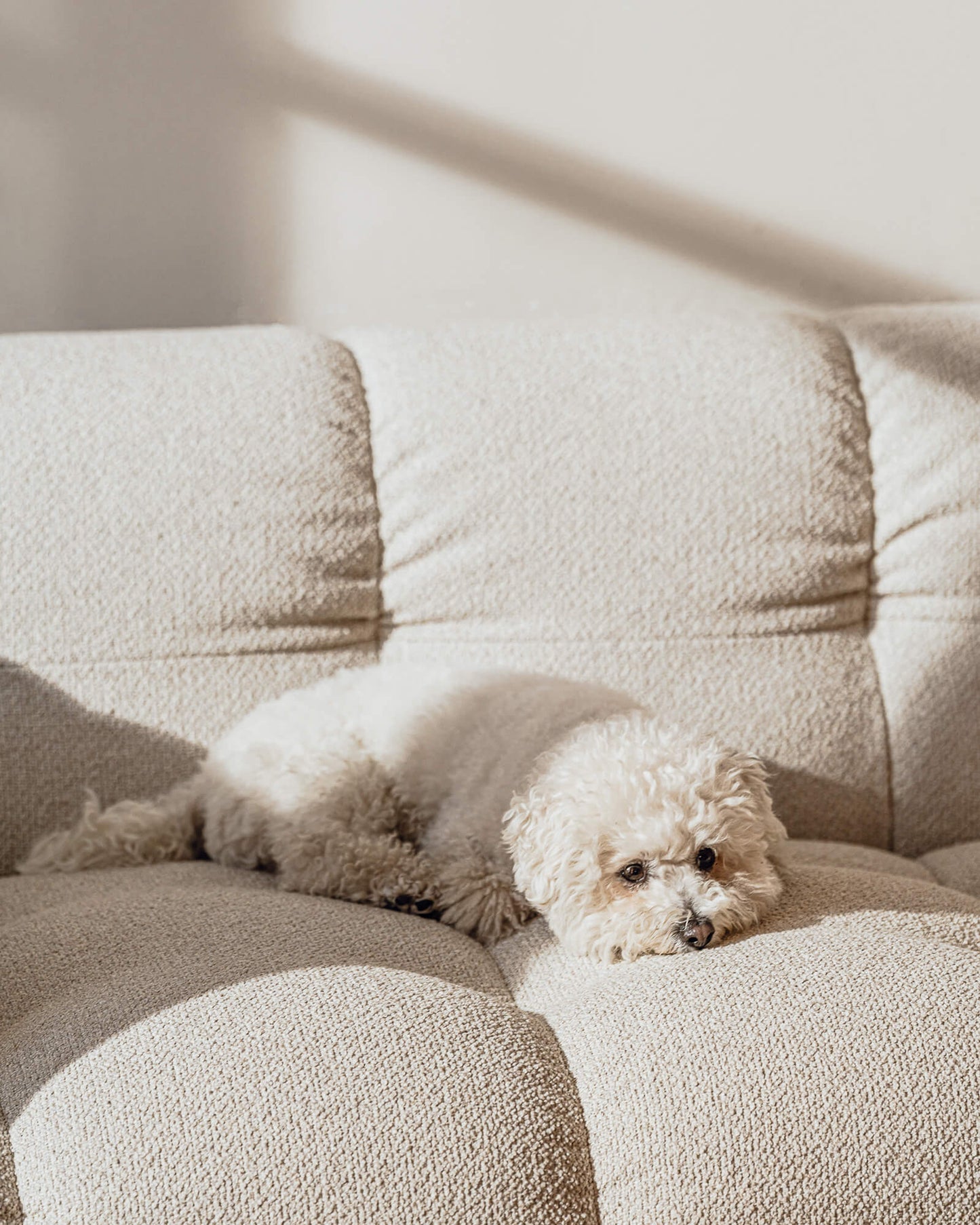 Bolbi Sofa 2-seater