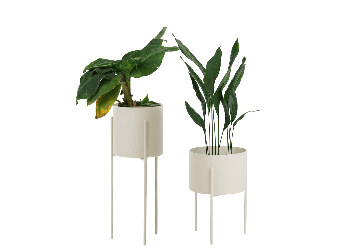 Maki Wide & Tall Bundle