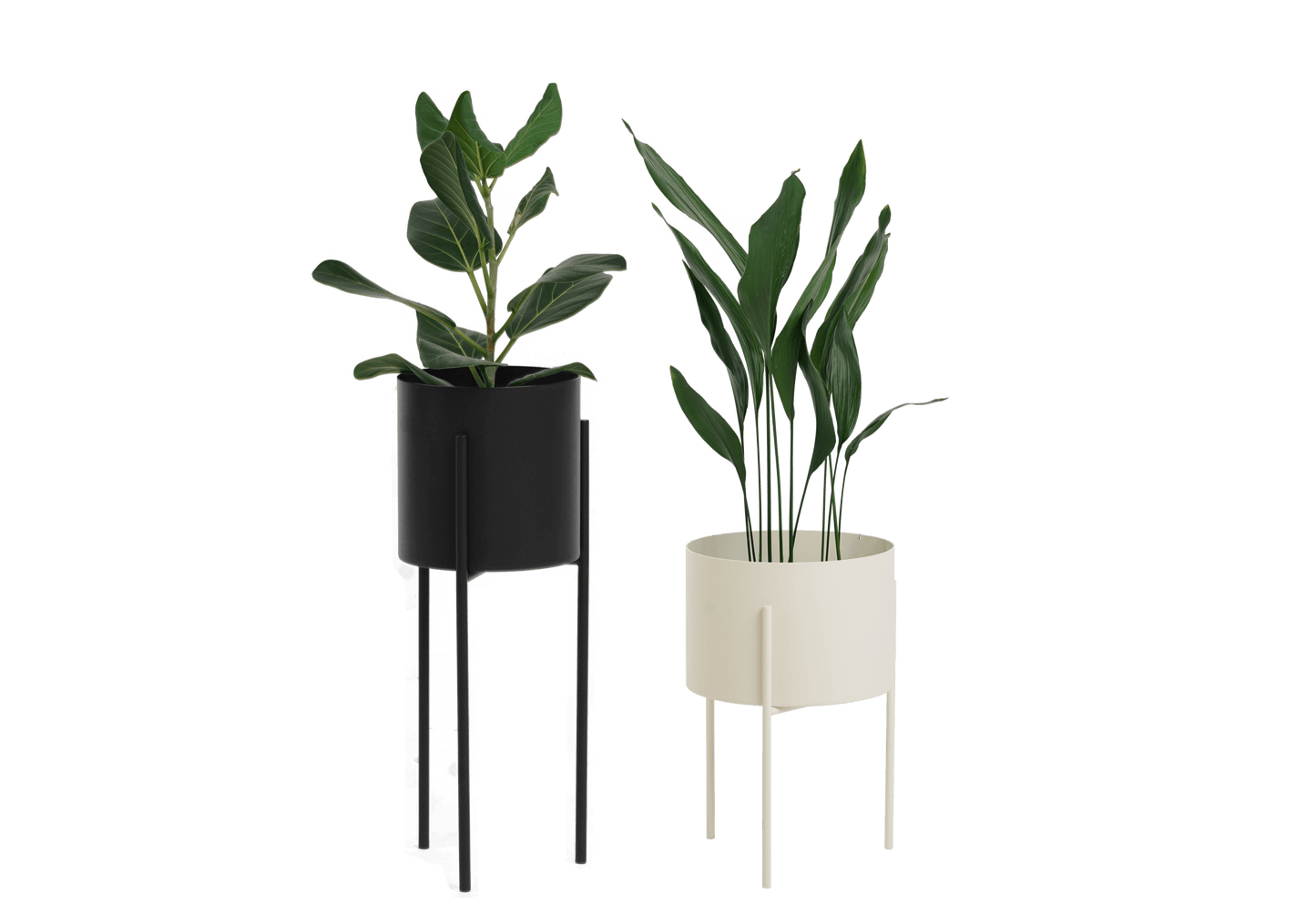 Maki Wide & Tall Bundle