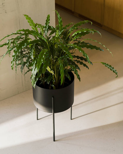 Maki Plant Pot - tall