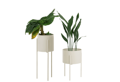 Maki Wide & Tall Bundle