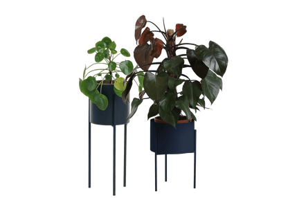 Maki Wide & Tall Bundle