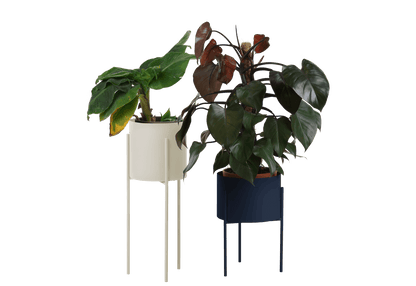 Maki Wide & Tall Bundle