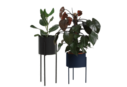 Maki Wide & Tall Bundle