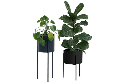 Maki Wide & Tall Bundle